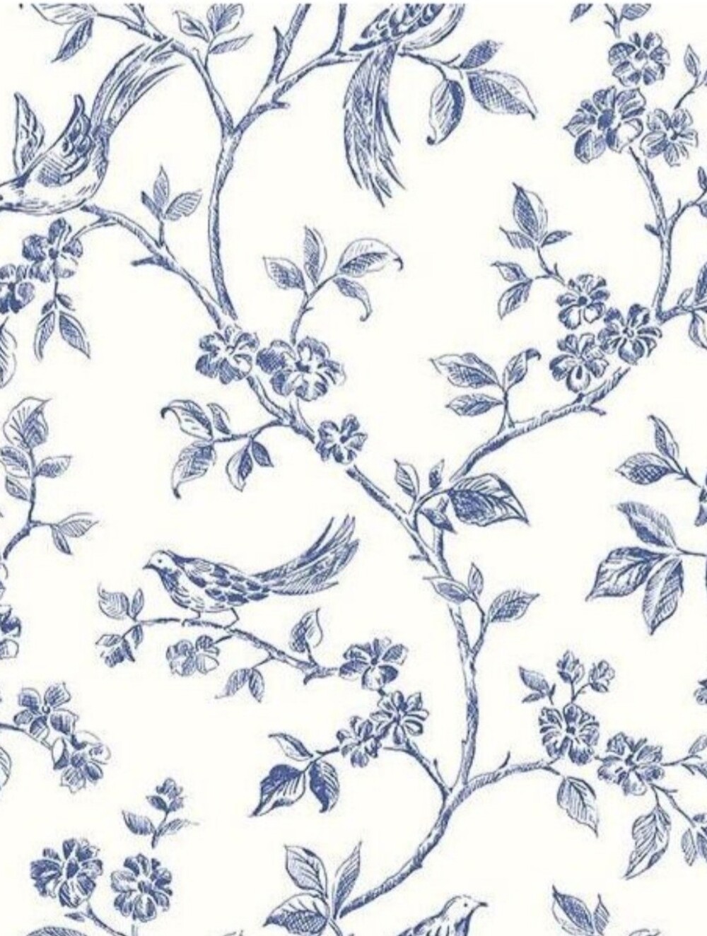 Wallpaper Ray Navy Bird Trail Toile Blue & White